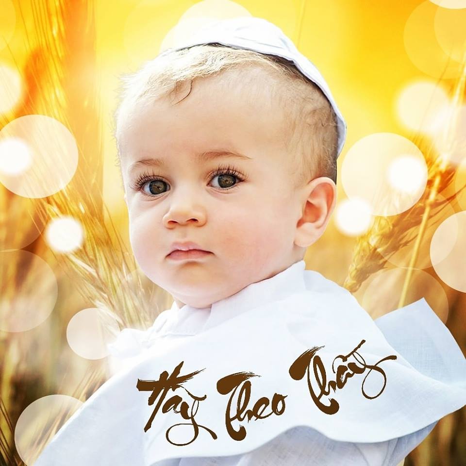 34124925 2103222660003500 8685148171501830144 n